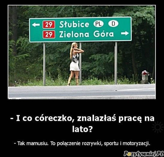 MEMY o Zielonej Górze. Tak mieszkańcy Zielonej Góry śmieją się ze swojego  miasta. Pośmiejmy się też w Krośnie Odrzańskim i Gubinie | Gubin Nasze  Miasto