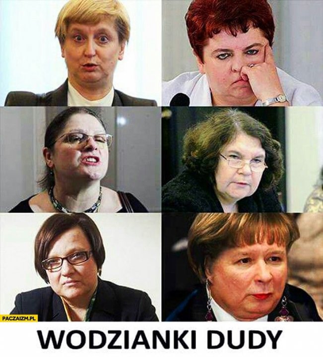 WODZIANKI DUDY #kobiety #sejm #warszawa #poslanki #kaczynski #pis | Humor,  Funny, Memes