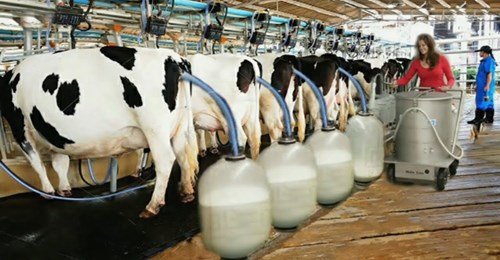 maxresdefault.jpg&cfs=1&ext=jpg&_nc_cb=1