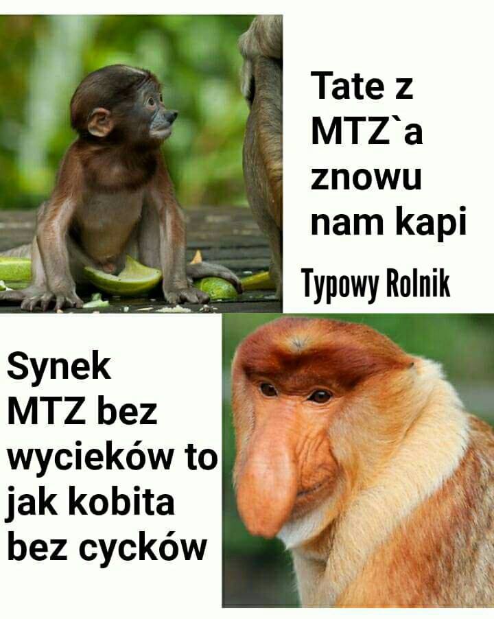 27750060_909797092530809_678370927528122