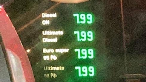 Zdjęcie: czytelniczka