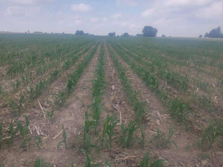 s84LYa71_ZUSrczA3lVzmUJeMlVsDTUmwqOKWOKF