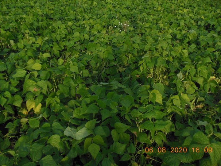 ACtC-3cZrHgsOlA0hipjVNPGCSzzxRFl9ZaOFks5