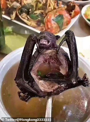 23773182-7920573-image-a-19_157978446730