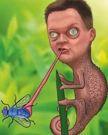 142400388_1352400235097384_6704399978056