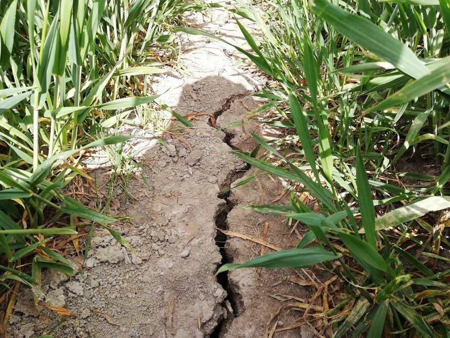 -p4DiqNCRBMqyvD8v-NZegEFpG7EU2mqeTzkuX2R