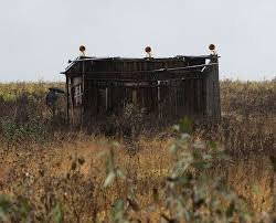 images?q=tbn:ANd9GcS7KsDmeacuJP2vav7Dxs9