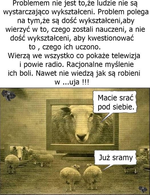 Może być zdjęciem przedstawiającym tekst „Problemem nie jest to,że ludzie nie są wystarczająco wykształceni. Problem polega na tym,że są dość wykształceni,aby wierzyć w to, czego zostali nauczeni, a nie dość wykształceni, aby kwestionować to, czego ich uczono. Wierzą we wszystko co pokaże telewizja powie radio. Racjonalne myślenie ich boli. Nawet nie wiedzą jak są robieni w ...uja!!! Macie srać pod siebie. Już sramy”