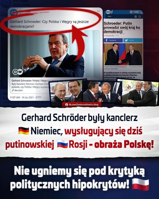 141024598_3745778962136068_2347363707250