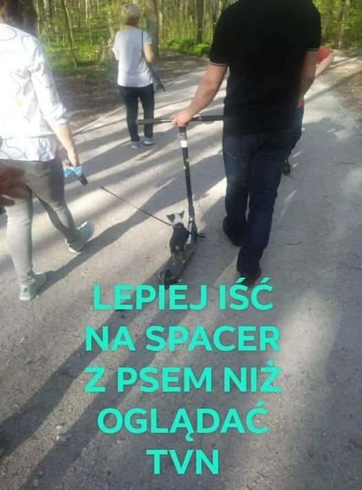 259920353_2481541141980797_4462629965103