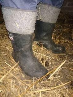 Znalezione obrazy dla zapytania filce