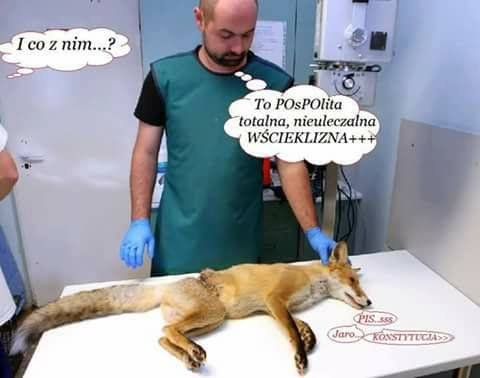 96389334_137825354531901_172890613401570