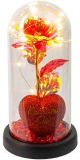 images?q=tbn:ANd9GcTOpdZFQrAelFcSx9EIRyippal_wV98txOPRk6CN7TnN9lGJ7ft