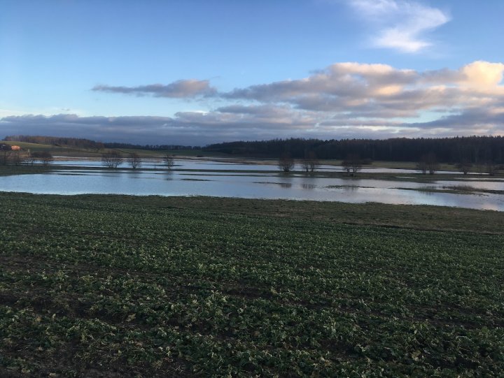 ABLVV856dTBnF8xCQO6mYUNGdceLDFN2GhFFsaYa