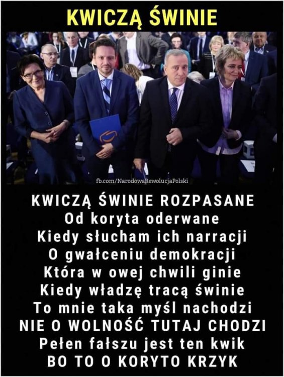 43659286_525608667865455_336224582690144