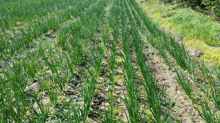 AP1GczMGIghoahjI-M6DegEJ4IYrMt2Asi2x_iK0