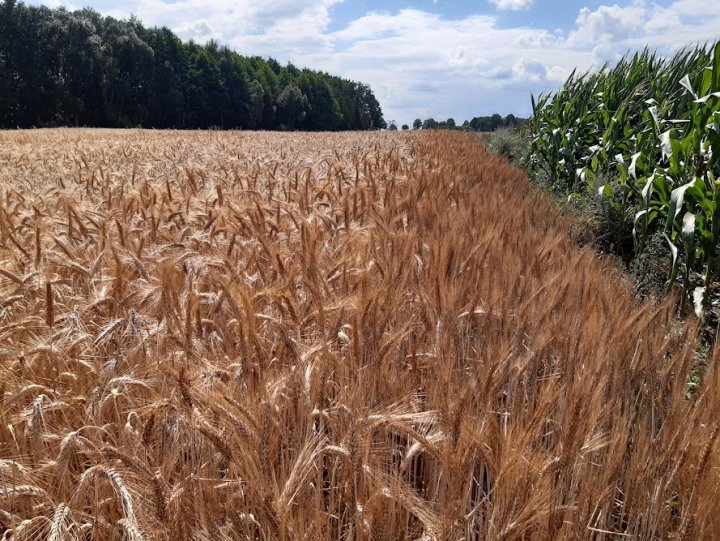 zpfr_7DFTpK2sZxVSACQLdsOeIvm80mpZXtan5cS