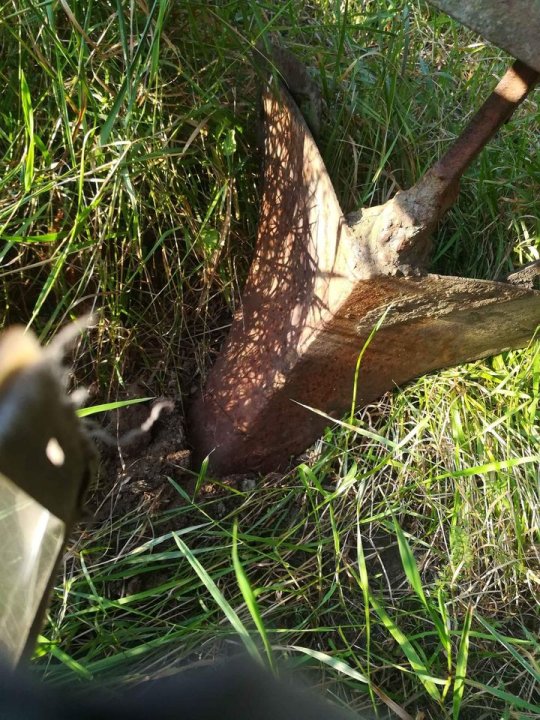 No photo description available.