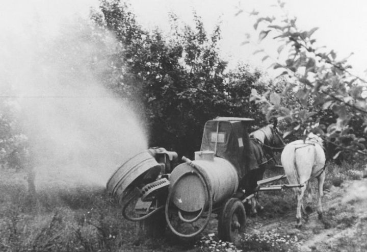 Znalezione obrazy dla zapytania: konny opryskiwacz