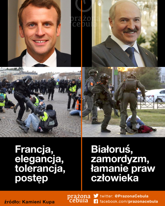 118482597_3298180006871076_3911668669348