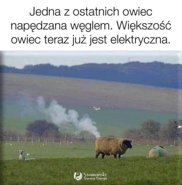 Może być zdjęciem przedstawiającym tekst „Jedna z ostatnich owiec napędzana węglem. Większość owiec teraz już jest elektryczna. Szamański TreningEnerg Treiting”