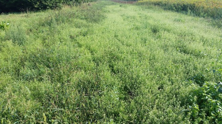 AL9nZEVJ_L1a1RoYqcobOlRwX9lXgfVQuXaeIGbz