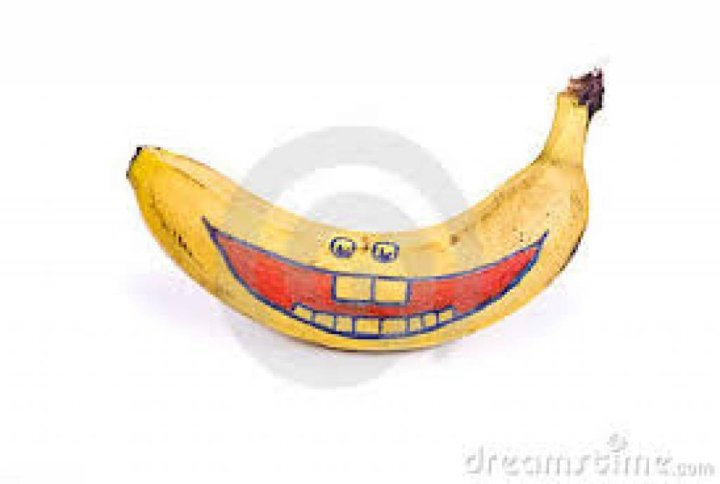 10553784_545955282213090_2917192897361379344_o.jpg?_nc_cat=1&ccb=1-7&_nc_sid=8631f5&_nc_ohc=BnwLXj2x0PQAX-AyPtZ&_nc_oc=AQkRa6Mot4fkRMcUiGvuyRHrF2jJGfxCeyT13hTi7WeXYkLzDn9yAwZC__zw3Rt4Cpk&_nc_ht=scontent-frx5-1.xx&oh=00_AfAmwO6QgfTGOXUWou2dCNLWfMZE4-T798gHPE1vK1Q1Ew&oe=63D4010F