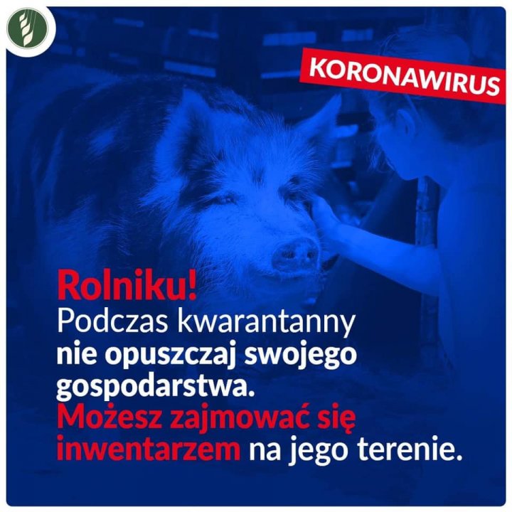 90657168_3901828676495737_78065566133214