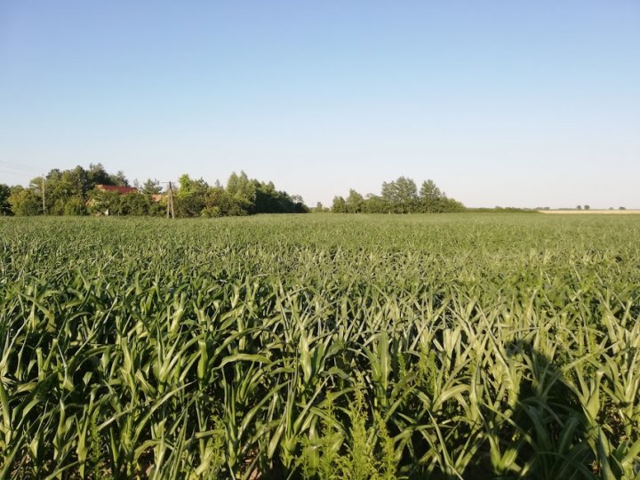 IhMAKrYTdaOgaGiljPCID5B8w_iIhI8EuN3PjcJb