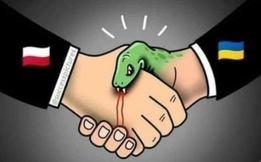 294504366_599445841767968_39001994068825