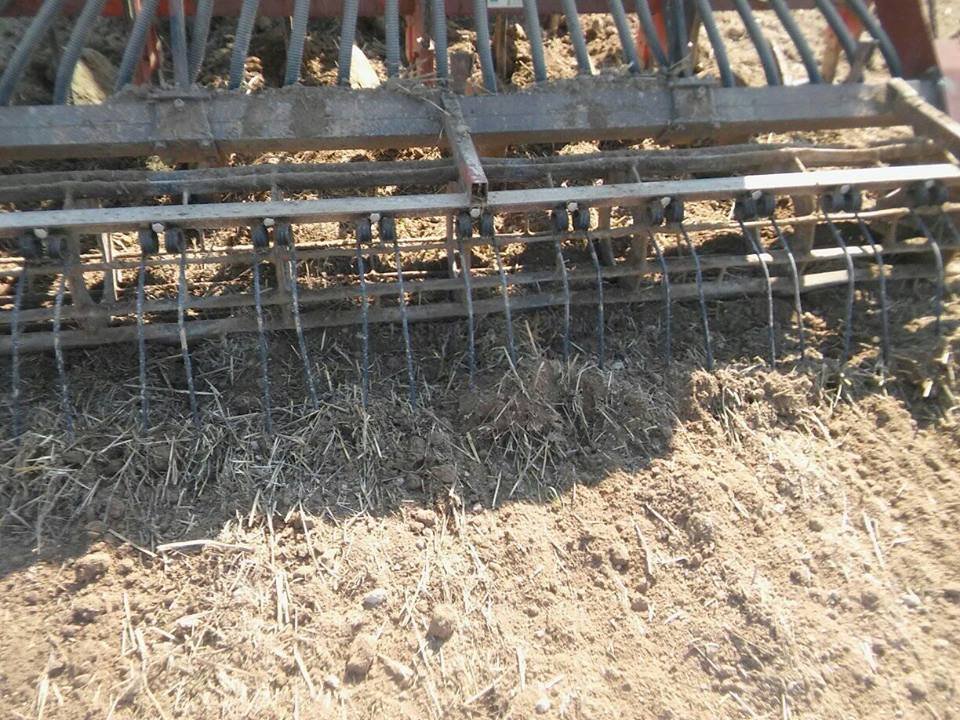 39509568_1954385944622176_50999988462225