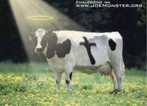 Znalezione obrazy dla zapytania rydzyk w maybachu