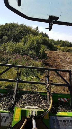 38754989_273427416779861_427242236841820160_n.jpg?_nc_cat=0&oh=88d89ecd99a67756b0b5084b3706d84b&oe=5BCDDF86