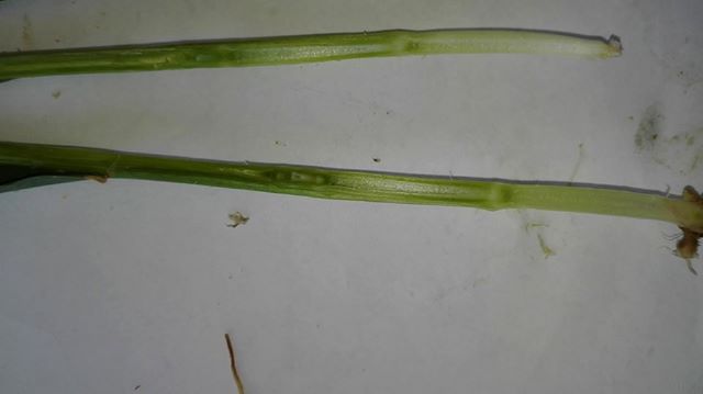 Zdjęcie użytkownika Grzegorz Ulejczyk.