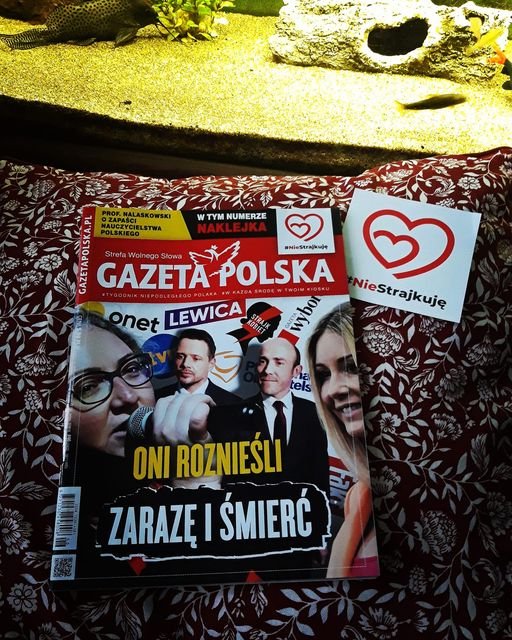 124746695_3070046533099893_8341292309218