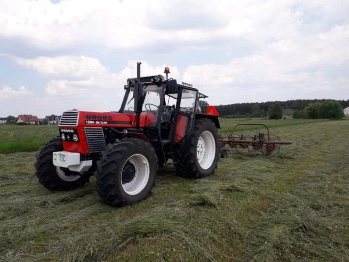 Może być zdjęciem przedstawiającym trawa