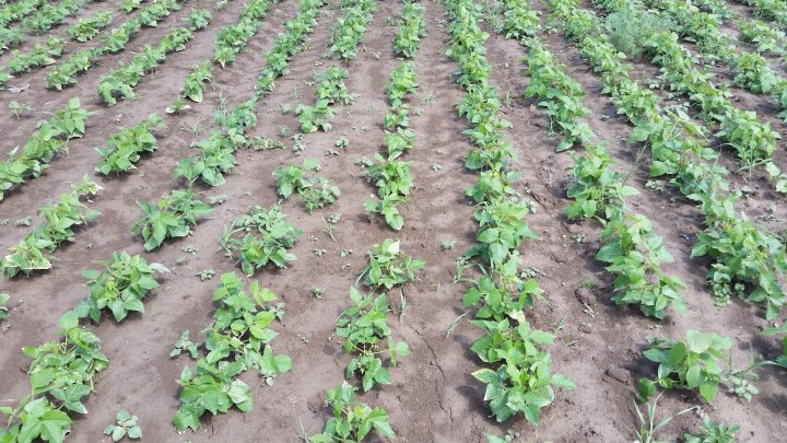 AP1GczNcRju5-wtAcXfYG8FloP9F94QZiZVZnMBN