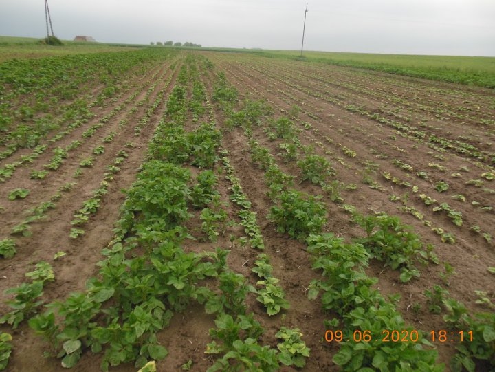 ACtC-3dkC9SrFlX5wHVY5sUd-JhJwuh45kRPPjmU