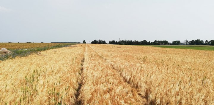 8meERRHBf08k2jtYGZsoTQ7pQPB7oGRZb2sxr0r4