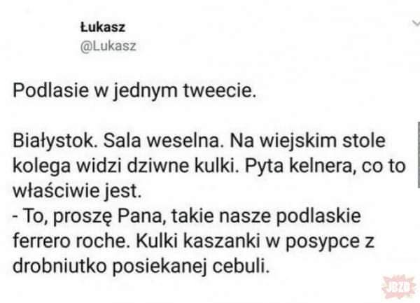 305335373_549477303617973_52451035041261