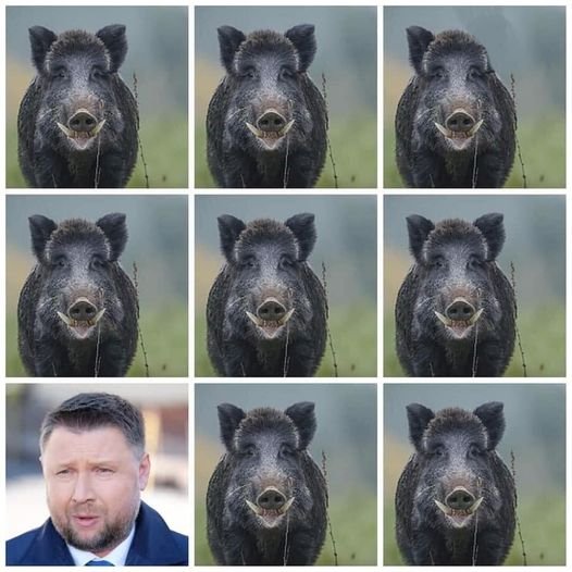 240948238_136141988713577_10324408523474