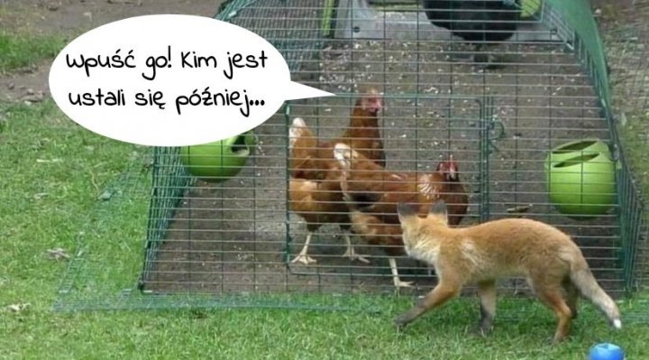 Może być zdjęciem przedstawiającym tekst „wpuść go! Kim jest ustali się później...”