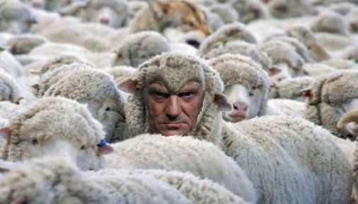 95478740_3805378466171516_31517030081783