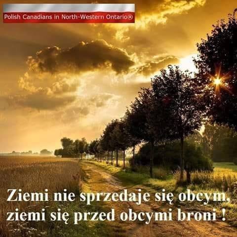 138286569_3570573886323122_3137563465199