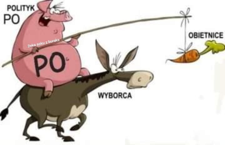Może być zdjęciem przedstawiającym ‎tekst „‎POLITYK PO Beka soku buraka PO OBIETNICE WYBORCA ر‎”‎