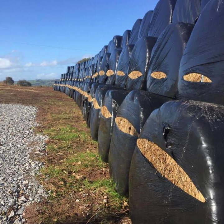 Może być zdjęciem przedstawiającym na świeżym powietrzu