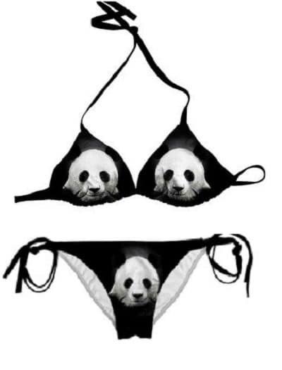 92362860_10220007854283907_5054772106156