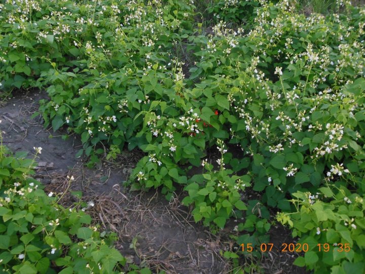 ACtC-3ddayrnyWQi_cTJ5CEJGuMZbtp3aNJ3vUnq