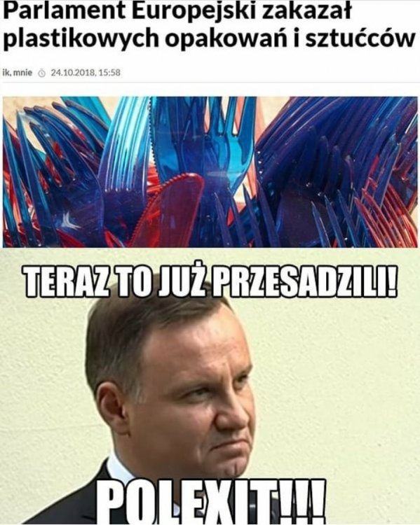 44946565_354646975101912_414973914875376