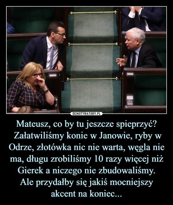 300081625_431303225697830_16315688503944